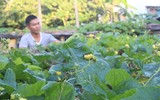 Mâm ngũ quả đặc biệt của lính Trường Sa trong ngày Tết